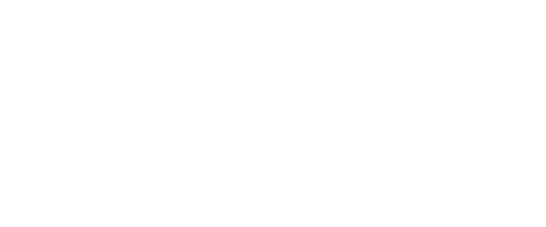 OptiLex